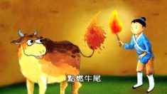 牛の話ー戦場でも大活躍した牛