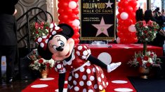 ミニーマウスがついにハリウッド殿堂入り、デビューから90年で