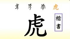 虎の話ー人の行いは天と連動する