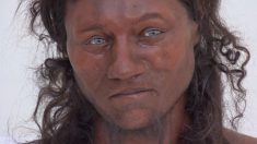 1万年前の英国人は浅黒い肌に青い目、ＤＮＡ解析で明らかに