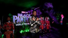 映画「ブラックパンサー」に高評価、ロッテン・トマトで100％