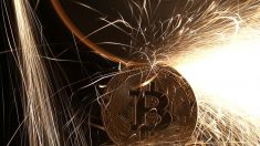 焦点：仮想通貨の「盗難補償」広がるか、保険会社に温度差
