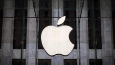 アップル、年内に3種類の新型アイフォーン投入の用意＝報道