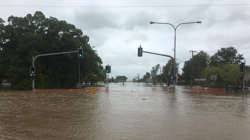 オーストラリアで洪水被害の町にワニ出現