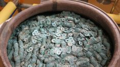 国内最大級の甕に埋蔵銭、埼玉 戦国時代の武士の館跡から出土