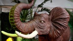 ベルギー小都市でチョコ祭り、実物大の動物の像が人気に