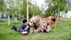 ペットのクマと暮らすモスクワの夫婦