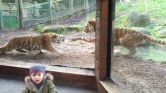 いつもの週末とは違う動物園の様子に、２歳の子供がビックリ！