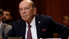 鉄鋼・アルミ関税の対抗措置、米経済への影響軽微＝ロス商務長官