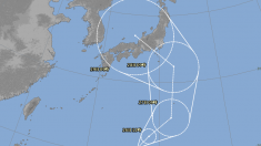【台風情報】12号、週末に本州直撃の公算　勢力強める