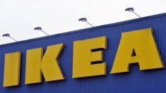 イケア、中国製ペット用ウォーターサーバー1万6千台をリコール