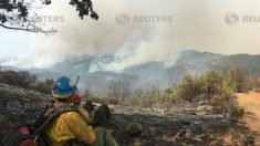 米ヨセミテ国立公園が一部閉鎖、カリフォルニアの山火事の影響で