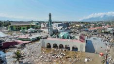 インドネシア地震、死者832人　数千人に達する恐れも