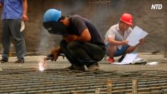 【動画ニュース】740万人が農村でUターン起業というが…「都市部での暮らしにゆきづまりやむなく帰郷」　
