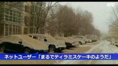【動画ニュース】新疆で降雪と砂嵐 一帯がまるで「ティラミスケーキ」
