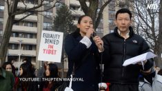 【動画ニュース】カナダの中国人留学生による一連の「愛国行動」に中国大使館関与の疑い
