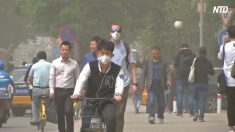 【動画ニュース】中国製マスクから基準を上回る発がん性物質「でもどうしようもない」