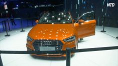 【動画ニュース】中国産アウディの「発がん性」を告発した被害者が口封じに