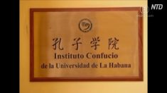 【動画ニュース】孔子学院の普及を狙う中国　米・オランダでは同学院の閉鎖を発表