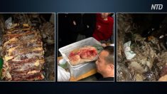 【動画ニュース】四川小学校カビ食材事件 当局は保護者3人を拘束 「食材は合格」