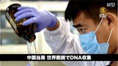 【中国ニュース速報】遼寧省でH5N1亜型鳥インフルエンザ確認/中国当局 世界範囲でDNA収集/新年号「令和」中国で2018年に商標登録