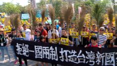 【動画ニュース】台湾・高雄で一国二制度反対デモ 中共に協力する市長を非難