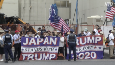 【動画ニュース】G20サミット閉幕 トランプファン日本でも急増