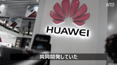 【動画ニュース】SNS各社の「政治関与」 ツイッターとグーグルによる波紋