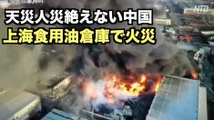 【動画ニュース】天災人災絶えない中国 上海の食用油倉庫で火災 黒煙は100mの高さまで