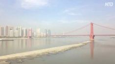 長江の川底が露出　水不足は人災か（下）