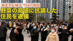 野菜の高値に抗議した封鎖都市住民が当局に拘束＝湖北省応城市