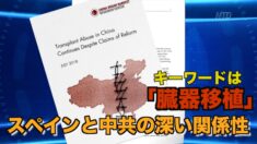 スペインと中共の深い関係性 キーワードは「臓器移植」【禁聞】