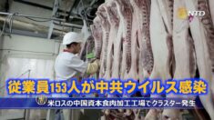 米ロスの中国資本食肉加工工場でクラスター発生＝153人が中共ウイルス感染