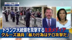 左派メディアに反論 クルーズ上院議員「暴力行為はテロ攻撃だ」