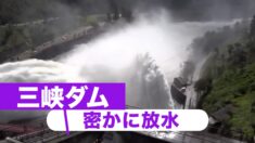 中国南部の洪水は人災か　三峡ダムが秘密裏に放水