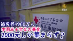 中国南方の洪水災害 赤十字会の募金はわずか2000元？