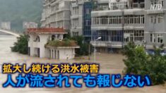 中国の洪水被害が拡大 26省市で1700万人が被災【禁聞】