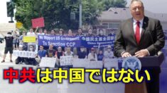 ポンペオ長官「中共は中国ではない」民主活動家らが支持集会