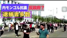 内モンゴルの抗議活動は「反政府運動」？逮捕者多数【禁聞】