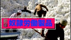 米下院 新疆での奴隷労働製品禁止法案通過