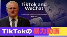 TikTokの暴力動画 豪首相が警告