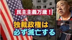 民主主義国家の国旗を掲げる中国人男性