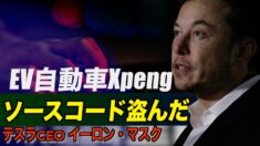 テスラCEO「中国自動車メーカーがソースコード盗んだ」 英語・字幕ニュース