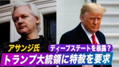 ウィキリークスがディープステートを暴露？アサンジ氏がトランプ大統領に特赦を要求