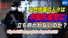 なぜ中国の人々はCCPに立ち向かわないのか？