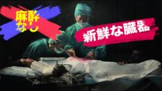 麻酔なし！中共による強制臓器摘出 在米中国人が実名告発