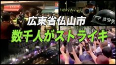 中国広東省仏山市の企業で数千人によるストライキ発生【禁聞】