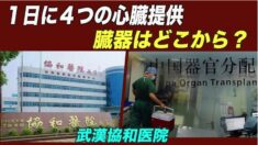 １日に４つの心臓提供 武漢協和医院の不可解な臓器入手ルート【禁聞】