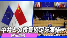 欧州議会 中共との投資協定を凍結