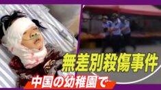 幼稚園無差別殺傷事件 少なくとも園児９人が死亡=中国広西チワン族自治区